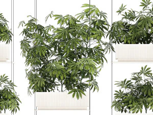 Planta&ccedil;&atilde;o de jardim Arbustos C&acirc;nhamo Maconha Cannabis 1428 Modelo 3D