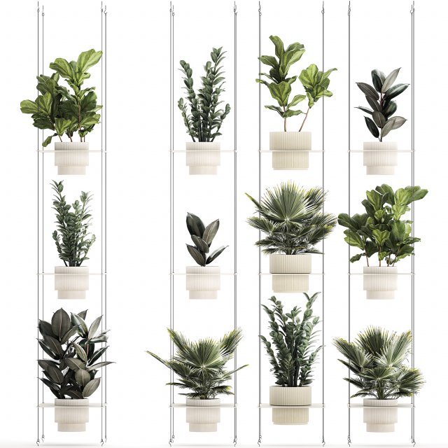Shelf Hanging Pot Zamioculcas Ficus Fan Palm 1429 3D 模型 .c4d .max .obj .3ds .fbx .stl .blend 