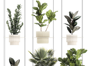Shelf Hanging Pot Zamioculcas Ficus Fan Palm 1429 3D 模型