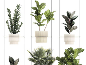 Полиця Підвісний горщик Заміокулькас Фікус Fan Palm 1429 3D Модель