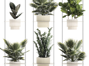 Shelf Hanging Pot Zamioculcas Ficus Fan Palm 1429 3D 模型