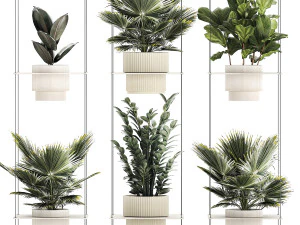 Полиця Підвісний горщик Заміокулькас Фікус Fan Palm 1429 3D Модель