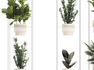 Shelf Hanging Pot Zamioculcas Ficus Fan Palm 1429 3D 模型