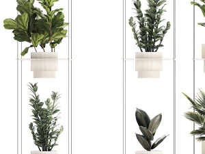 Полиця Підвісний горщик Заміокулькас Фікус Fan Palm 1429 3D Модель