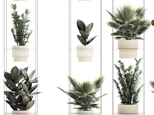 Полиця Підвісний горщик Заміокулькас Фікус Fan Palm 1429 3D Модель
