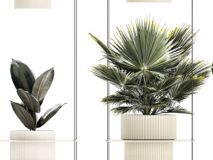 Shelf Hanging Pot Zamioculcas Ficus Fan Palm 1429 3D 模型