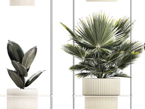 Полиця Підвісний горщик Заміокулькас Фікус Fan Palm 1429 3D Модель