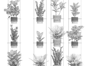 Shelf Hanging Pot Zamioculcas Ficus Fan Palm 1429 3D 模型