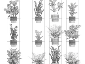 Полиця Підвісний горщик Заміокулькас Фікус Fan Palm 1429 3D Модель