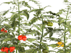 Kitchen garden white pot vegetables tomatoes cherry bush Modelo 3D