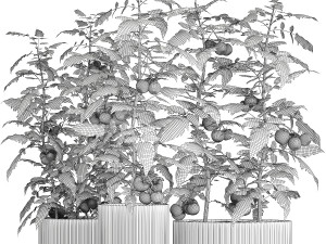 Kitchen garden white pot vegetables tomatoes cherry bush Modelo 3D
