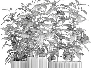 Kitchen garden white pot vegetables tomatoes cherry bush 3D Model