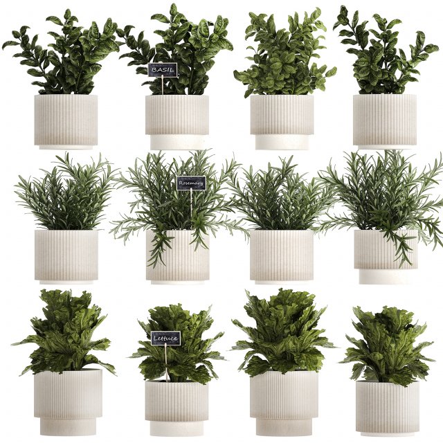 Kitchen Garden Pot Vegetables Basil Herbs Rosemary 1431 3Dモデル .c4d .max .obj .3ds .fbx .stl .blend 