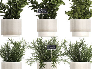 Kitchen Garden Pot Vegetables Basil Herbs Rosemary 1431 3Dモデル