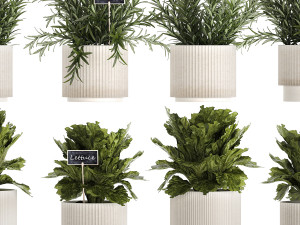 Kitchen Garden Pot Vegetables Basil Herbs Rosemary 1431 3Dモデル