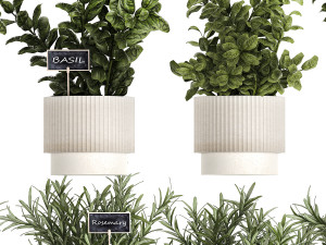 Kitchen Garden Pot Vegetables Basil Herbs Rosemary 1431 3Dモデル