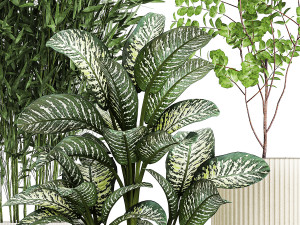 Pots tree Olive Dieffenbachia bamboo Ficus benjamina 1435 3D-Modell