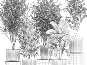 Pots tree Olive Dieffenbachia bamboo Ficus benjamina 1435 3D-Modell
