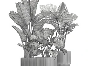 Piantine in vaso moderno bianco Strelitzia Licuala palma a ventaglio 1436 Modello 3D