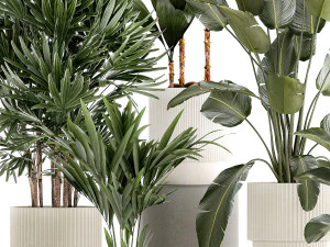Small plants in white pots Strelitzia Calathea lutea palm 1437 3D Model