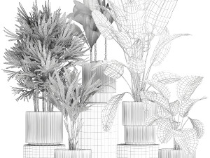 Small plants in white pots Strelitzia Calathea lutea palm 1437 Model 3D