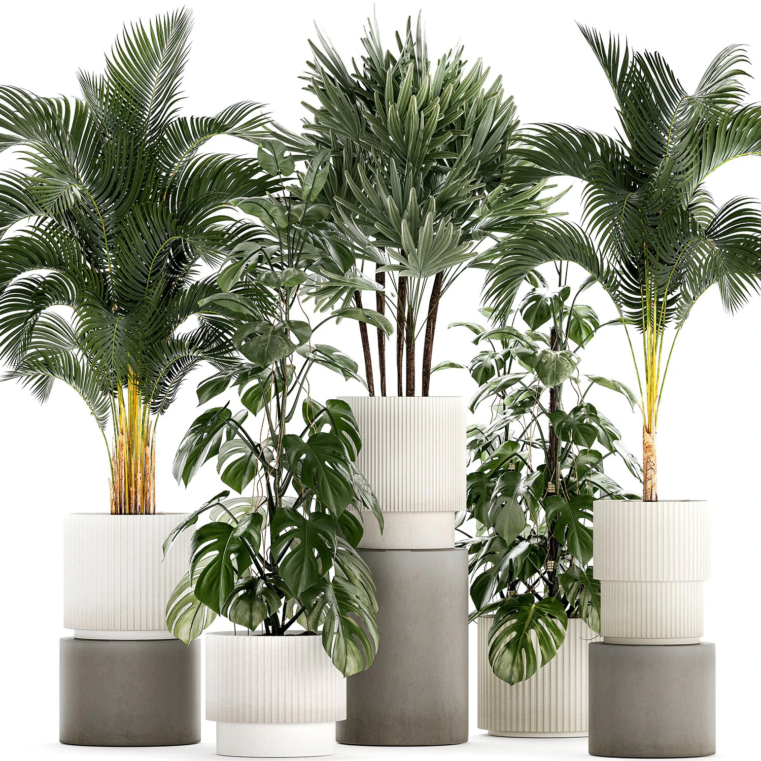 Plants modern potted monstera Raphis palm 1440 3D Model .c4d .max .obj .3ds .fbx .stl .blend 