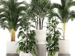 Plants modern potted monstera Raphis palm 1440 3D Model