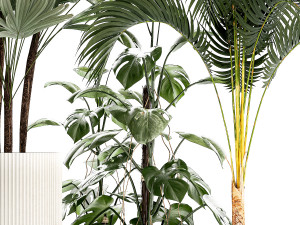 Plants modern potted monstera Raphis palm 1440 3D 모델