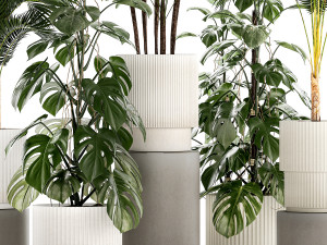 Plants modern potted monstera Raphis palm 1440 3D 모델