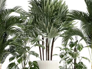 Plants modern potted monstera Raphis palm 1440 3D Model