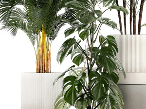 Plants modern potted monstera Raphis palm 1440 3D Model