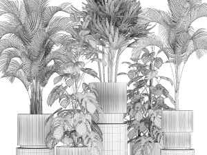 Plants modern potted monstera Raphis palm 1440 3D 모델