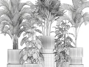 Plants modern potted monstera Raphis palm 1440 3D Model