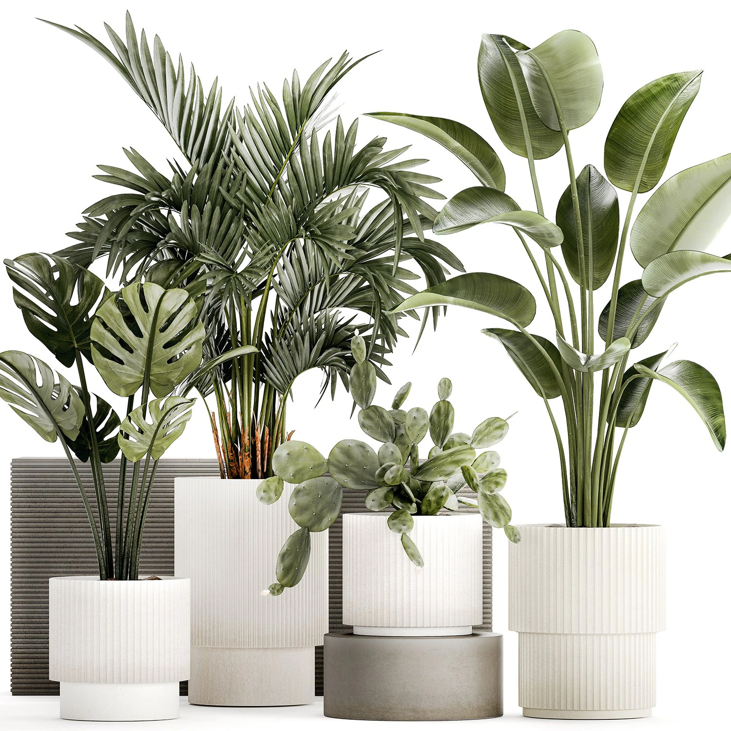 Plants white modern pot Monstera strelitzia cactus 1442 3D Model .c4d .max .obj .3ds .fbx .stl .blend 