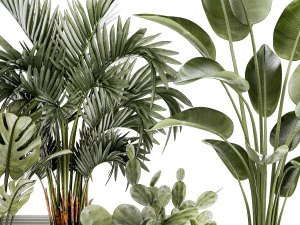 Plants white modern pot Monstera strelitzia cactus 1442 3D Model