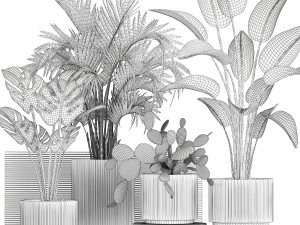 Plants white modern pot Monstera strelitzia cactus 1442 3D Model