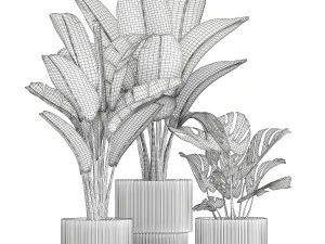 Conjunto de vasos brancos modernos Strelitzia Monstera 1443 Modelo 3D