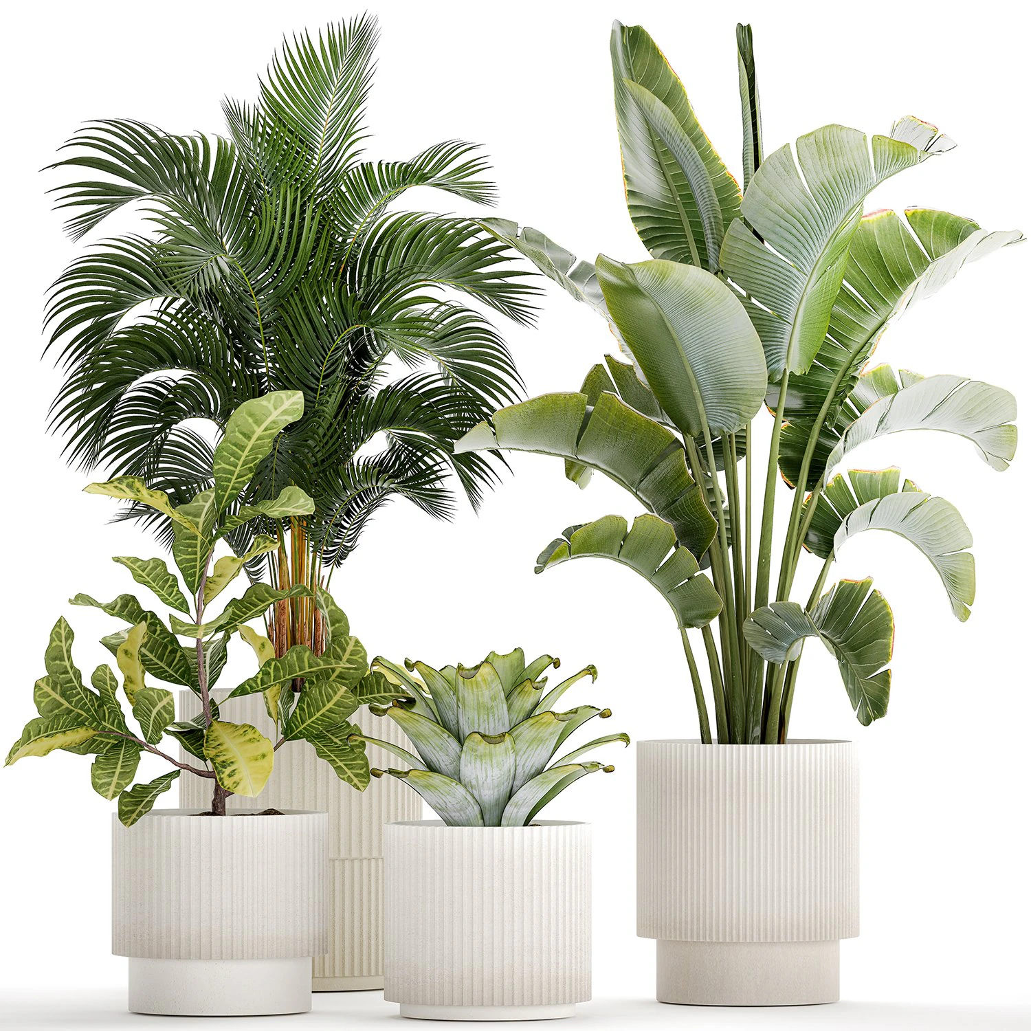 Vasos de plantas brancas Strelitzia Croton bromelia 1444 Modelo 3D .c4d .max .obj .3ds .fbx .stl .blend 