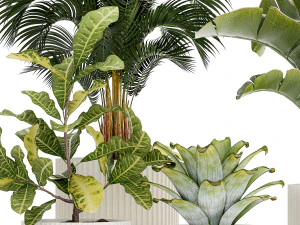 Vasos de plantas brancas Strelitzia Croton bromelia 1444 Modelo 3D