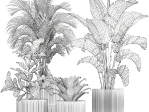 Vasos de plantas brancas Strelitzia Croton bromelia 1444 Modelo 3D