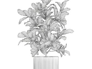 Small indoor tree white modern pot Croton tree 1446 3D Model