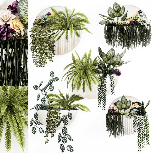 Vertical Gardening Potted Succulents Hanging Plants Fern 1447 3D Модель .c4d .max .obj .3ds .fbx .stl .blend 