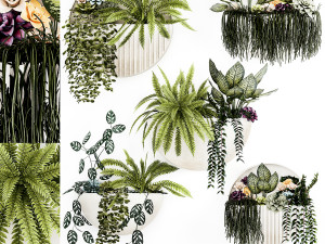 Vertical Gardening Potted Succulents Hanging Plants Fern 1447 3D Model