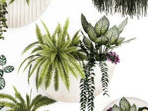 Vertical Gardening Potted Succulents Hanging Plants Fern 1447 3D Модель
