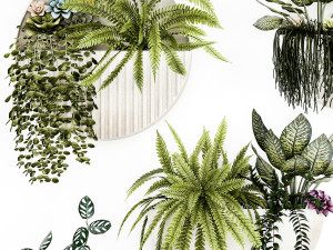 Vertical Gardening Potted Succulents Hanging Plants Fern 1447 3D Модель