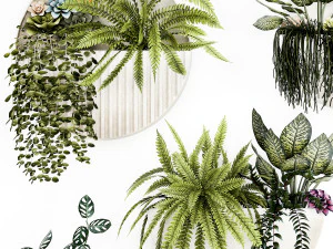 Verticaal tuinieren Potten Vetplanten Hangplanten Varen 1447 3D Model