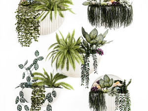 Vertical Gardening Potted Succulents Hanging Plants Fern 1447 3D Модель