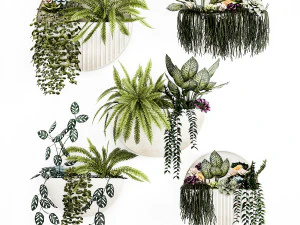 Verticaal tuinieren Potten Vetplanten Hangplanten Varen 1447 3D Model