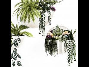 Vertical Gardening Potted Succulents Hanging Plants Fern 1447 3D Модель