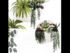 Verticaal tuinieren Potten Vetplanten Hangplanten Varen 1447 3D Model